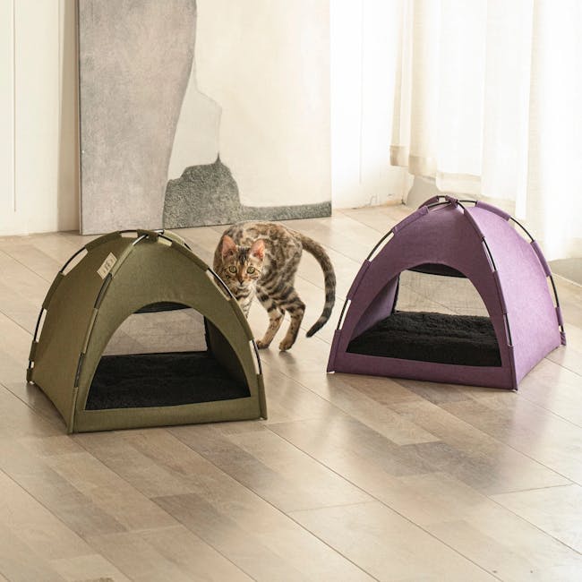 FURRYTAIL Little Glamper Tent - Purple - 2