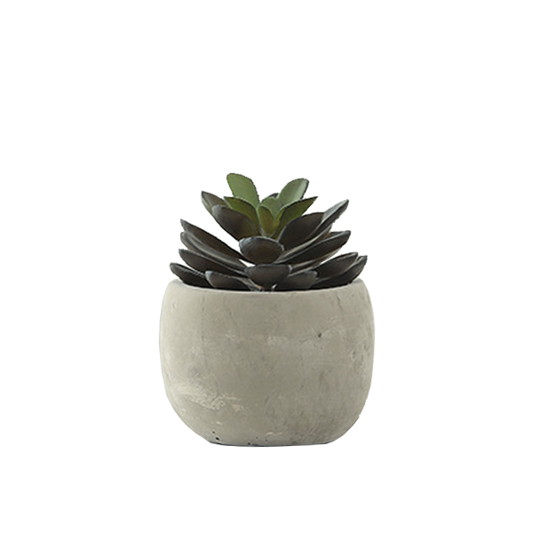 Faux Echiveria in Concrete Planter - Purple