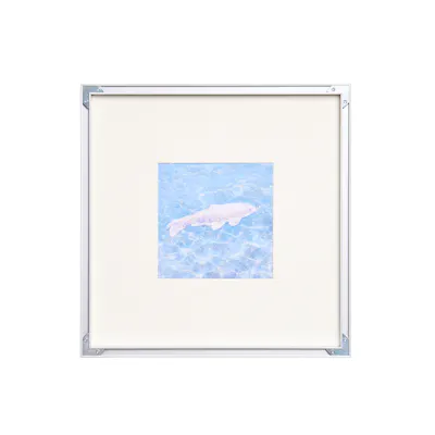 Silver Tail Stainless Steel Framed Wall Art 40 x 40cm