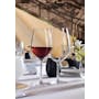 Chef & Sommelier Sequence Wine Glass - Set of 6 (3 Sizes) - 1