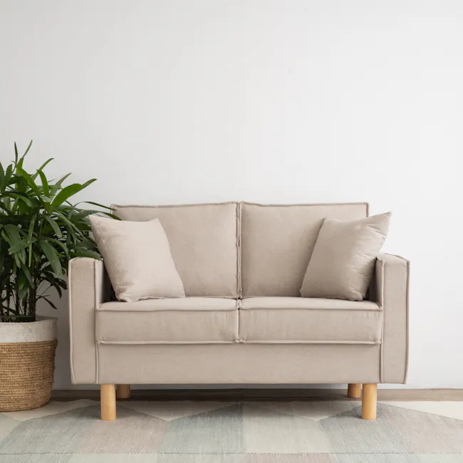 Nexon 2 Seater Sofa - Light Mocha - 5 - Cream-colored sofa, minimalist decor, natural light, green plant, beige cushions