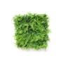 Steve & Leif Detachable Decorative Grass Patch - Mixed - 0