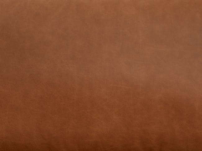 Nolan 3 Seater Sofa - Penny Brown (Premium Aniline Leather) - 8