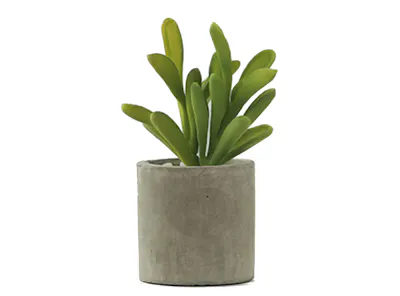 Faux Sedum in Concrete Planter