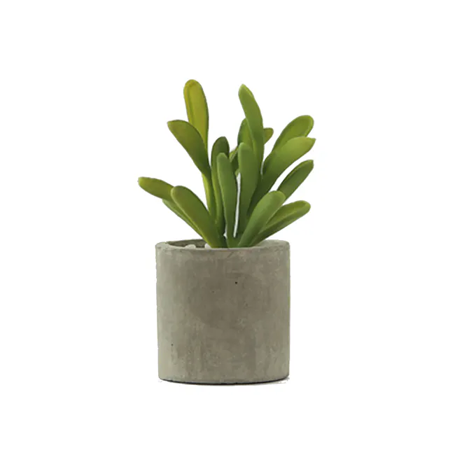 Faux Sedum in Concrete Planter - 1 - green plant in concrete pot, minimalist decor, modern style, indoor plant, indoor