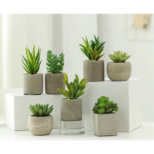 Faux Sedum in Concrete Planter - 3 - Modern minimalist decor, contemporary potted plants, clean white background, geometric