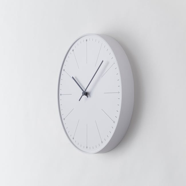 Dandelion Clock - White - 1