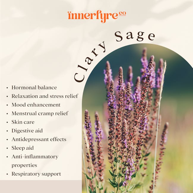 Innerfyre Co I AM WISE Candle 200g - Frankincense, Myrrh & Clary Sage - 3