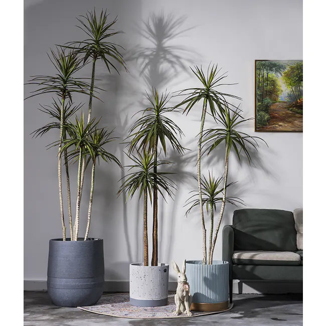 Potted Faux Dracaena Marginata Tree 185 cm - 5 - modern living room, indoor plants, tall potted plants, greenery, indoor
