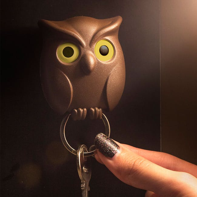 Night Owl Key Holder - Brown - 1