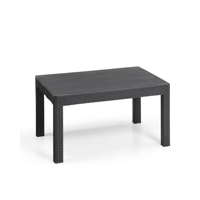 Chicago 4 Piece Outdoor Sofa Set - Graphite - 11