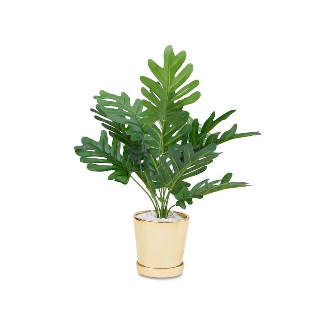 Faux Philendron in Brass Planter - 0