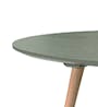 Carsyn Oval Coffee Table - Pickle Green - 2