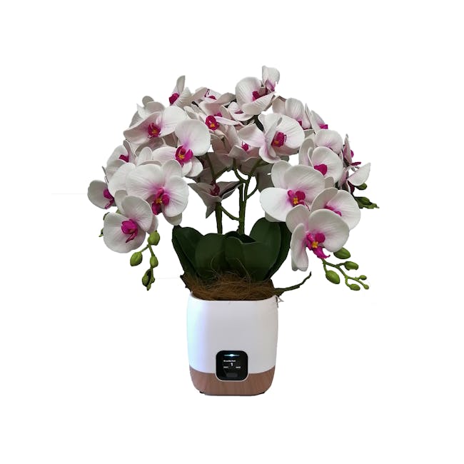 Zero 2.5 Air Quality Monitor and Ioniser with Faux Orchid - 0