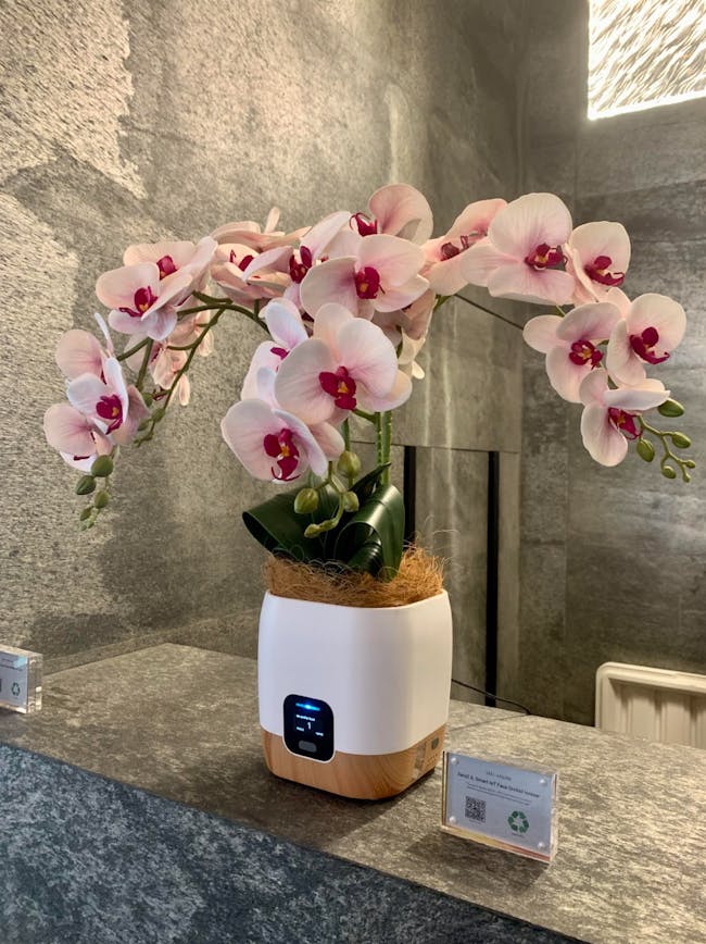 Zero 2.5 Air Quality Monitor and Ioniser with Faux Orchid - 5
