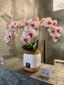 Zero 2.5 Air Quality Monitor and Ioniser with Faux Orchid - 5