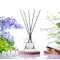 Pristine Aroma Reed Diffuser 50ml - Campanula Blossom (Signature Scent)