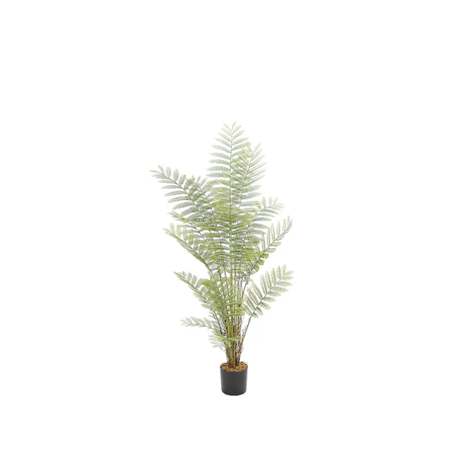 Potted Faux Jacaranda Tree 120 cm - 1 - Fern plant, green foliage, delicate leaves, indoor plant, potted fern, indoor