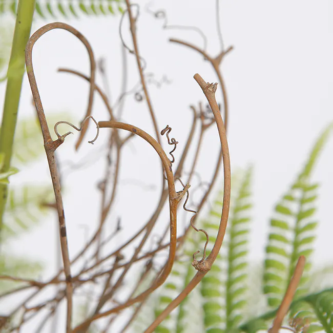 Potted Faux Jacaranda Tree 120 cm - 5 - rusty metal plant stems, fern fronds, intertwined vines, weathered branches, natural