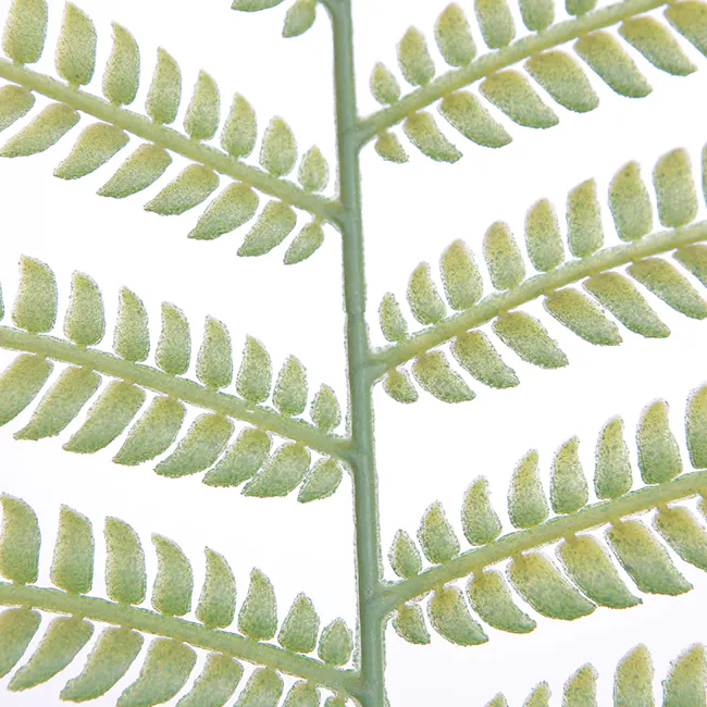Potted Faux Jacaranda Tree 120 cm - 3 - Green leaf, fern fronds, delicate structure, symmetrical pattern, overlapping