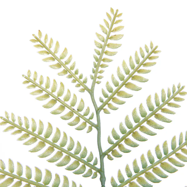 Potted Faux Jacaranda Tree 120 cm - 4 - Fern leaf, delicate fern, green fern, leafy fern, fern leaf, fern plant, fern leaf