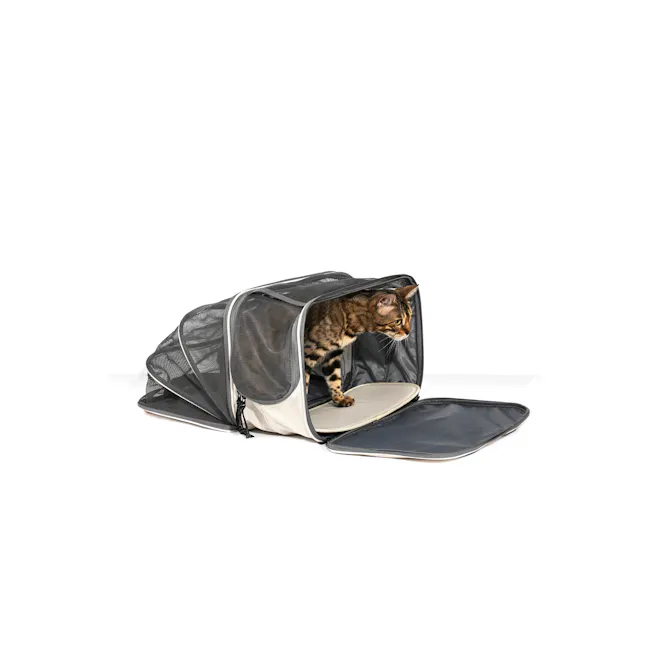 FURRYTAIL Extendable Pet Carrier - 2 - Cat peeking out from a pet carrier, tabby cat with stripes, black and white mesh