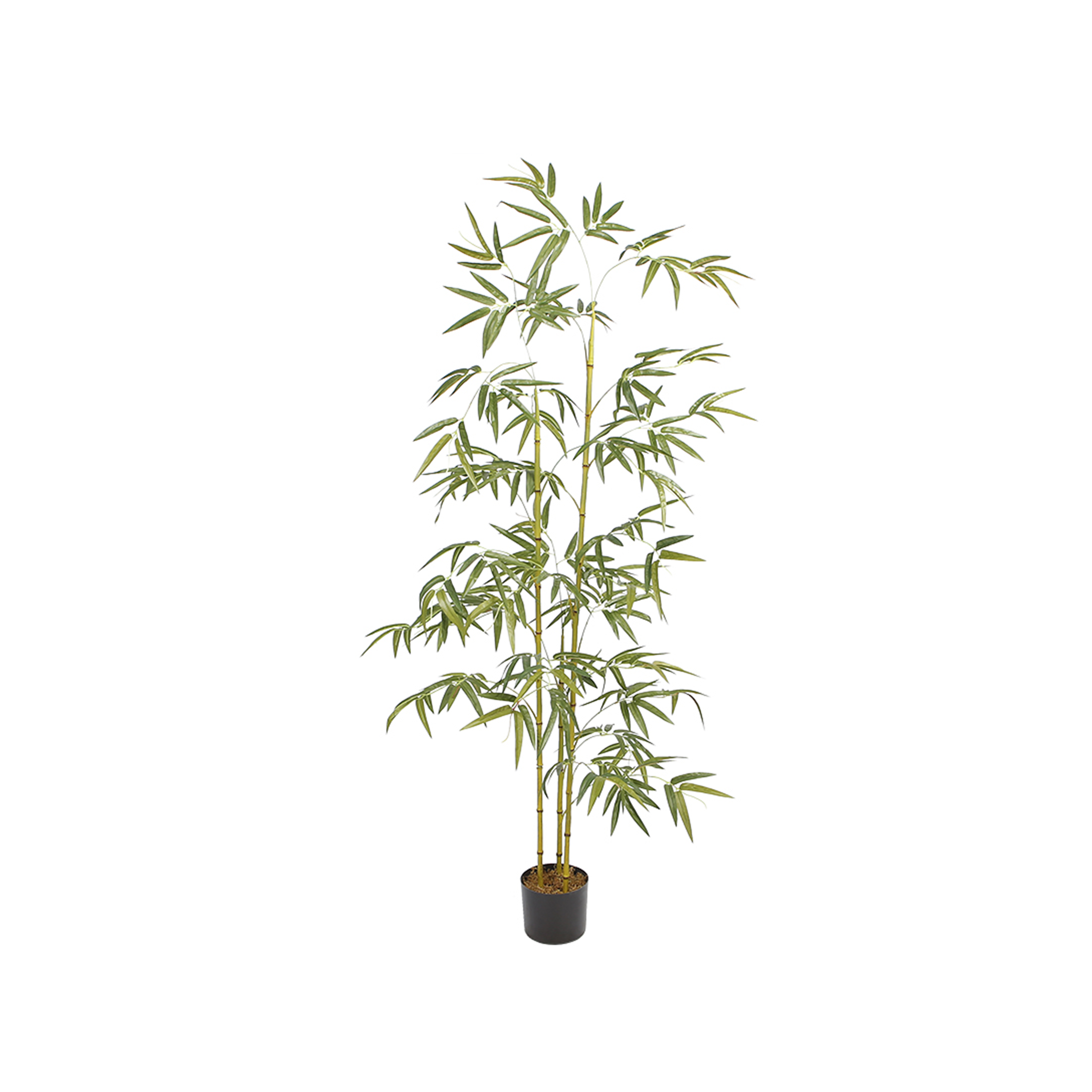 Potted Faux Korean Bamboo Tree 170 cm