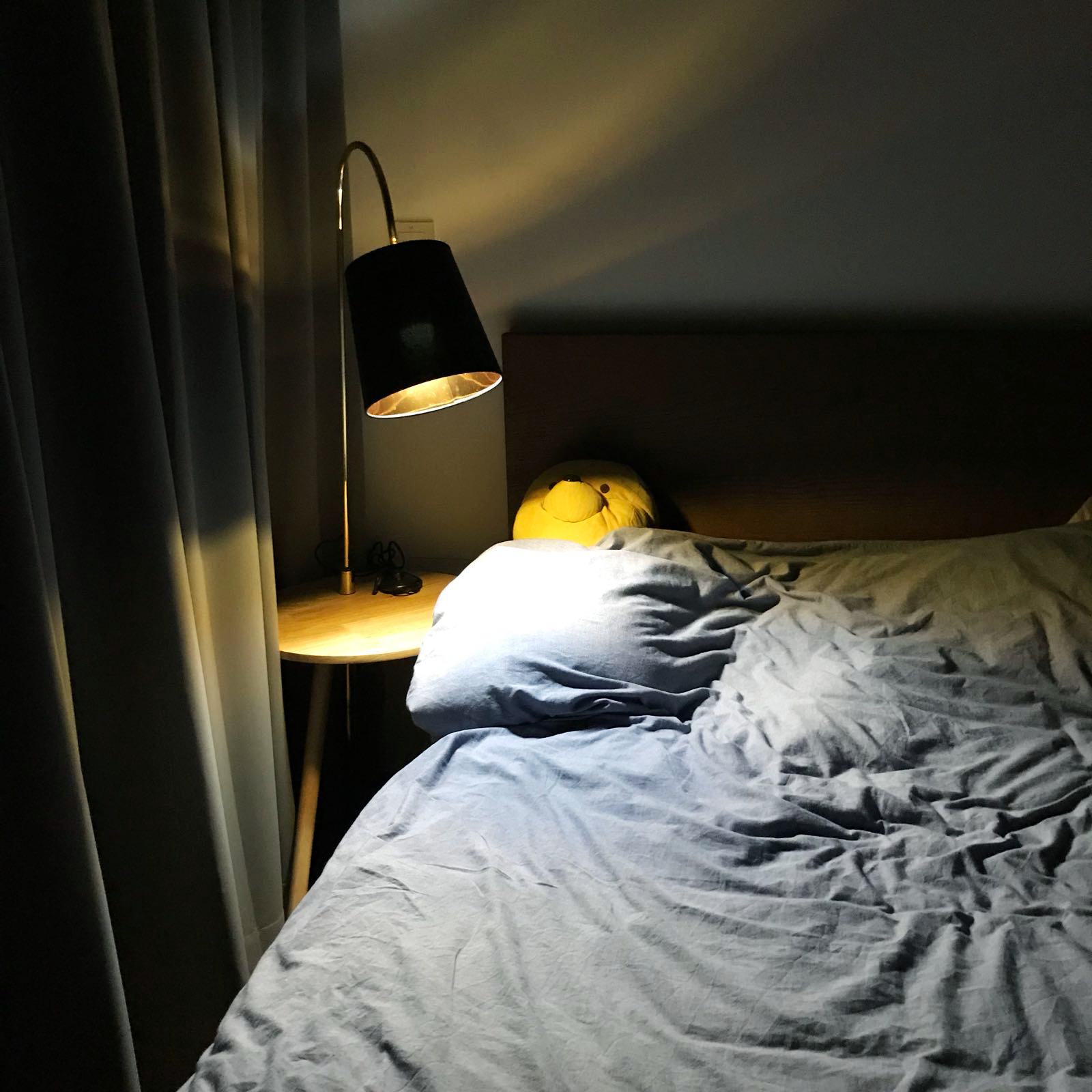 floor lamp beside bed