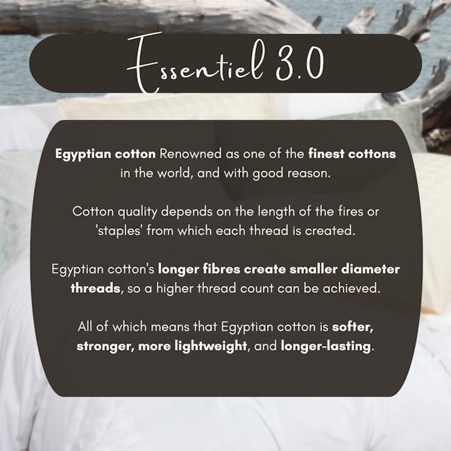 Bellami Trinity Essentiel 3.0 100% Egyptian Cotton 950TC Fitted Sheet Set – White (2 Sizes) - 2