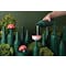 OTOTO Funnel - Magic Mushroom - 3