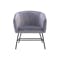 Galen Lounge Chair - Ash Grey (Velvet)