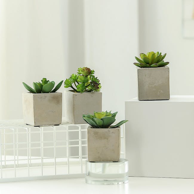 Faux Echiveria in Concrete Planter - Green - 1