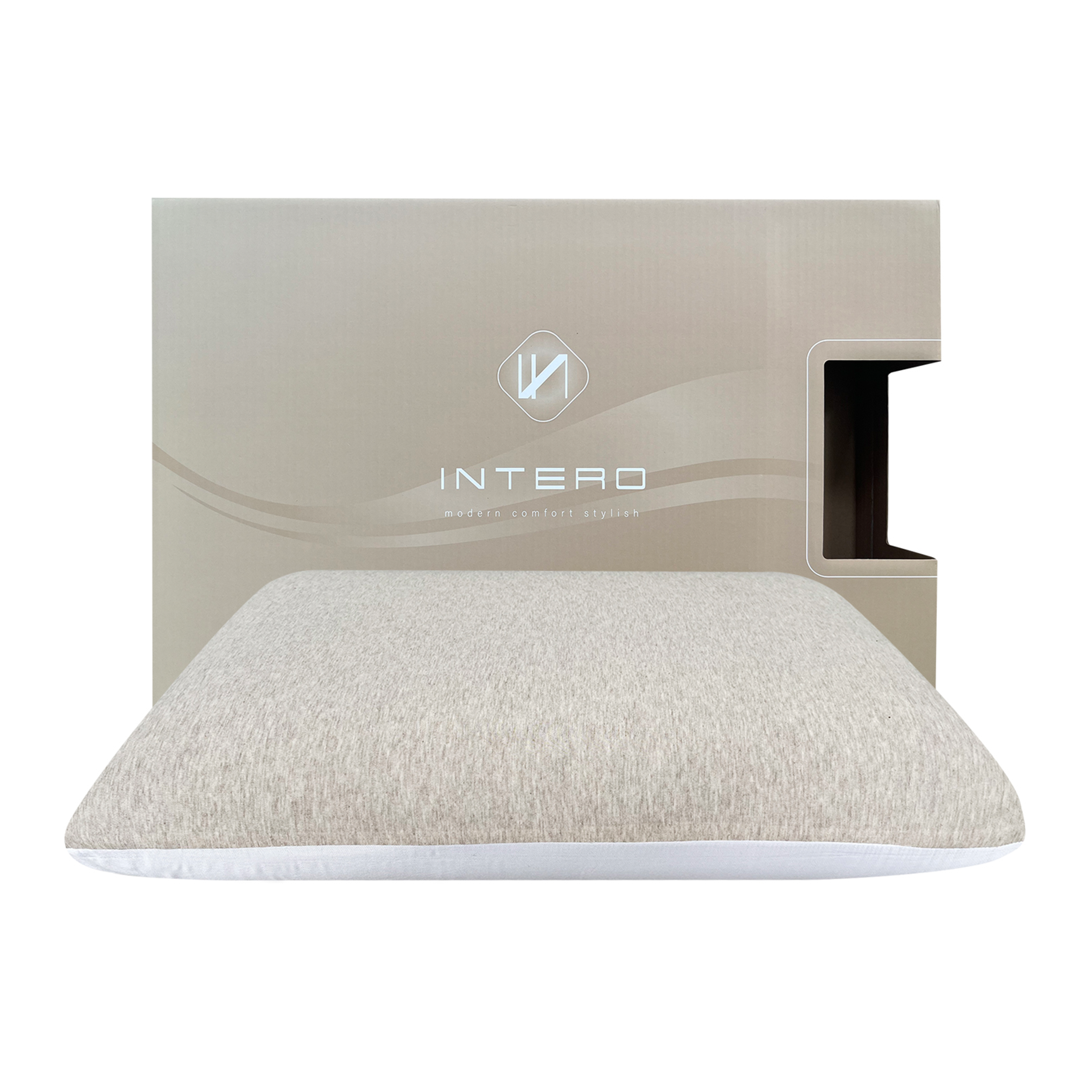 Intero Bamboopro Visco Air Charcoal Memory Foam Pillow DUO