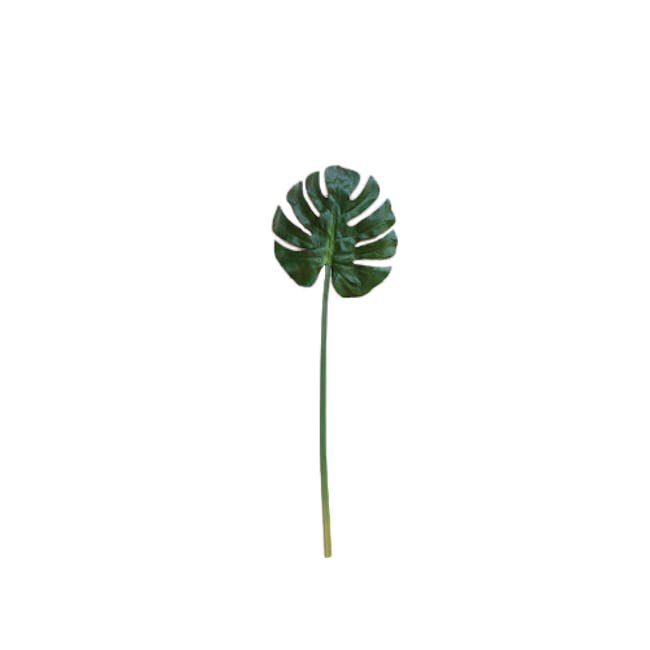 Faux Tropical Leaf - Assorted (Set of 5) - 6