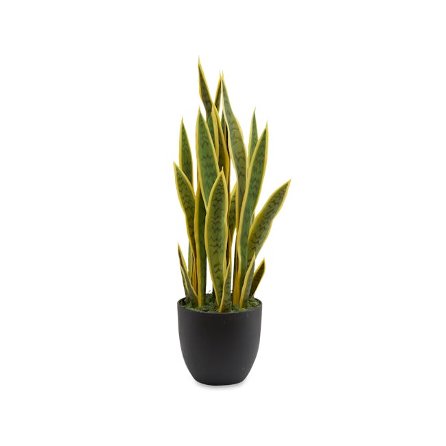 Potted Faux Snake Plant 70 cm - 0
