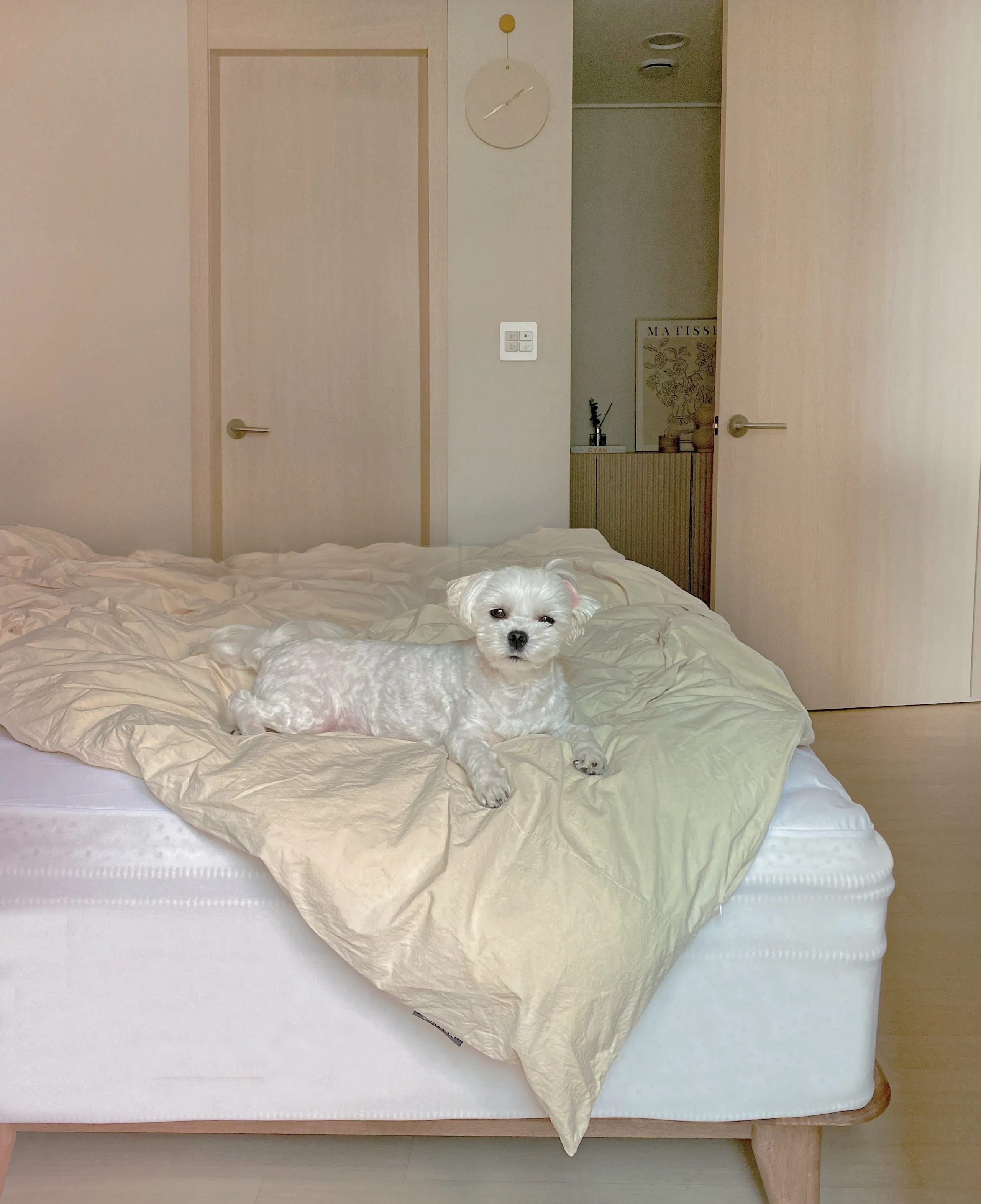 Customer home photo 7