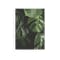 Florae Art Print on Stretched Canvas 50cm by 70cm - Monstera - 0