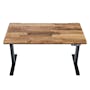 X1 Adjustable Table - Black frame, Solidwood Butcher Walnut (2 Sizes) - 0