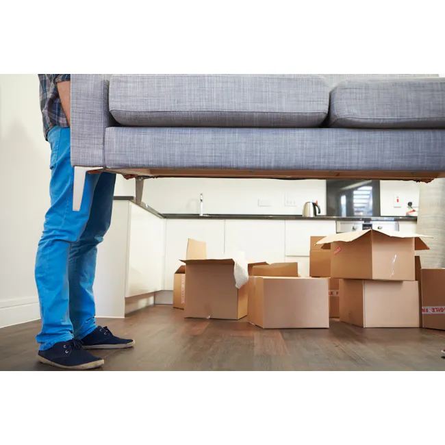 SLEEP Mattress + Free Mattress Disposal - 10