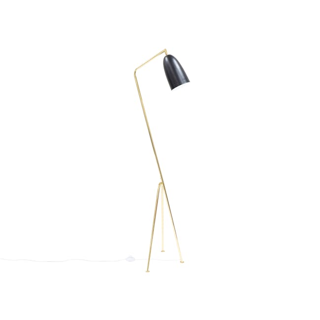 Grasshoppa Floor Lamp - Black, Brass - 0