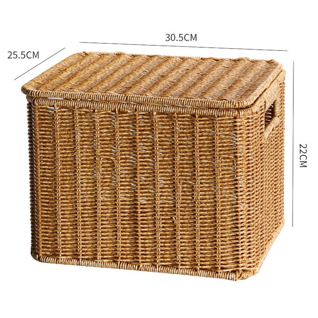 Godo Rattan Storage Basket With Lid (3 Sizes) - 5