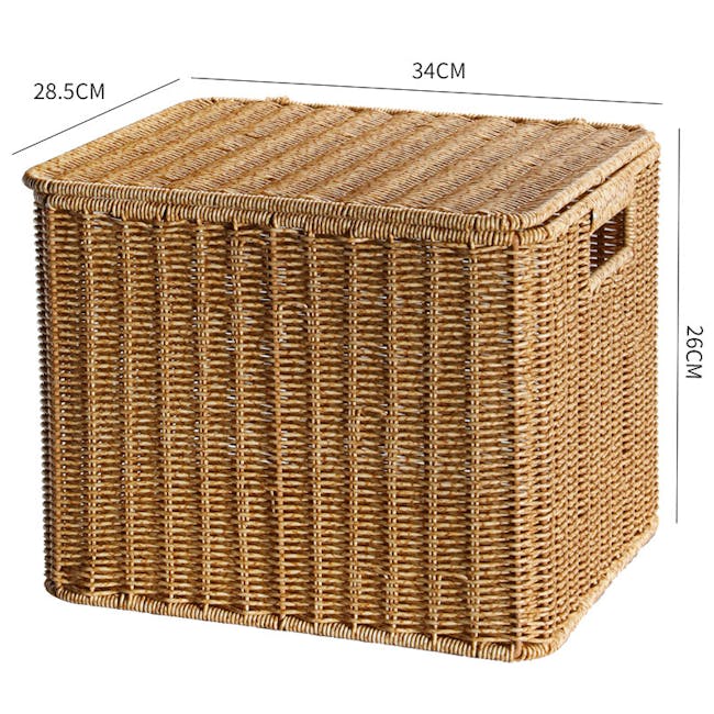 Godo Rattan Storage Basket With Lid (3 Sizes) - 6