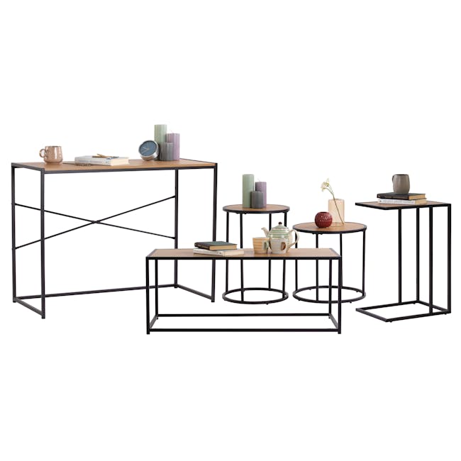 Daniela Coffee Table - 7 - modern minimalist table, black metal frame, geometric design, wooden surface, contemporary