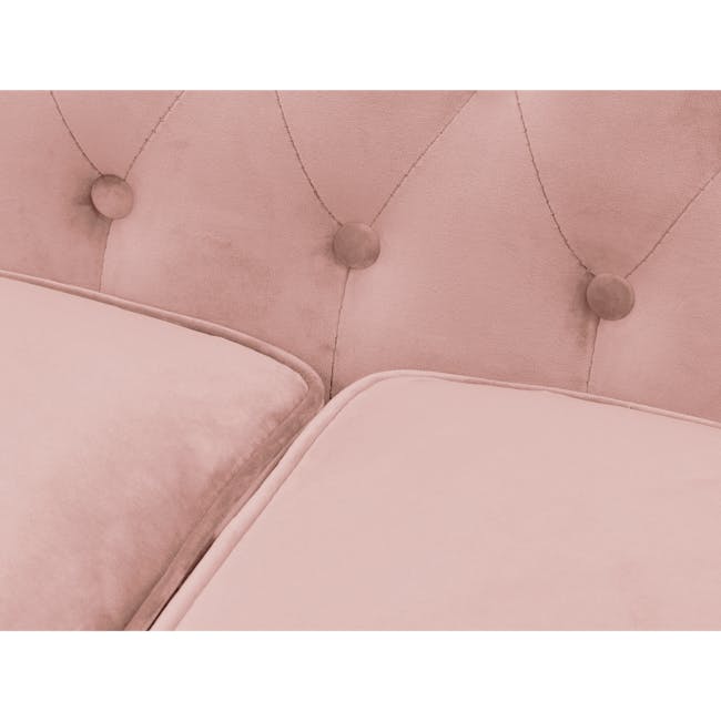 Cadencia 2 Seater Sofa - Blush (Velvet) - 7