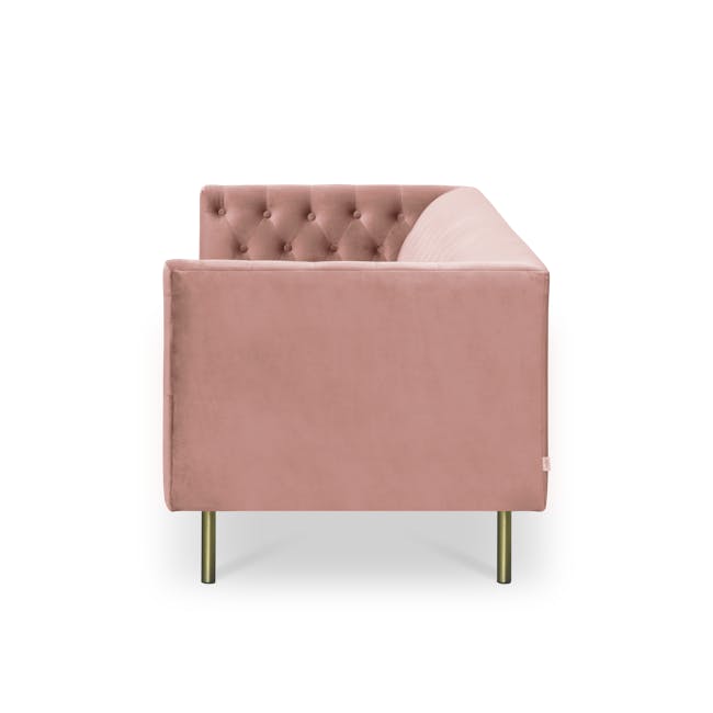 Cadencia 2 Seater Sofa - Blush (Velvet) - 2