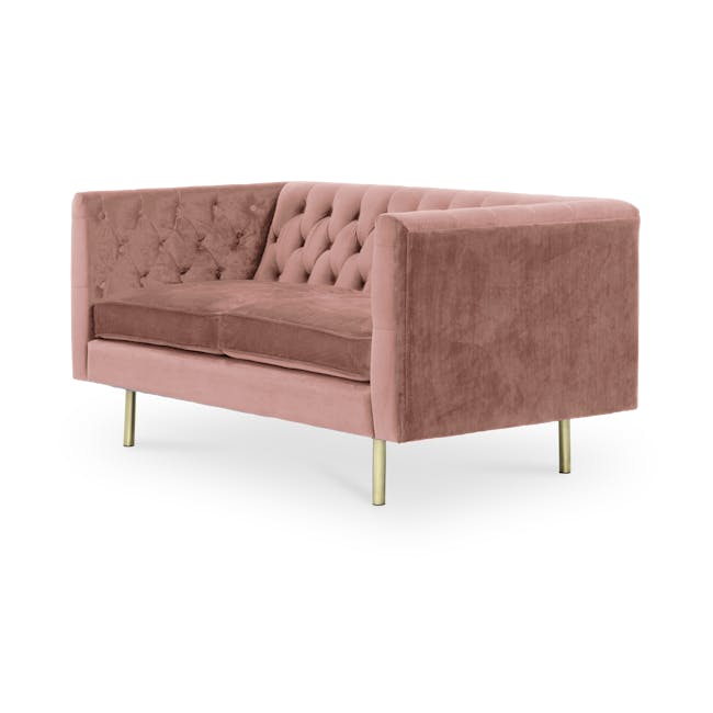 Cadencia 2 Seater Sofa - Blush (Velvet) - 1