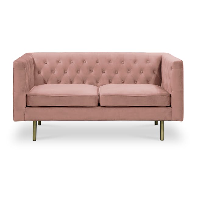 Cadencia 2 Seater Sofa - Blush (Velvet) - 10