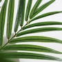Potted Faux Areca Palm Tree 140 cm - 4