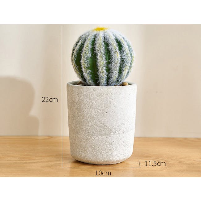 Faux Echinocactus in Concrete Planter - 7