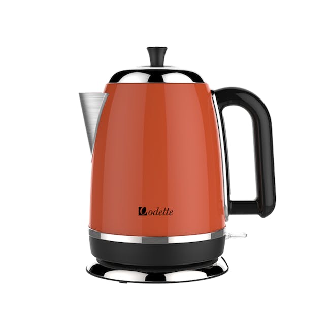 Electric stainless kettle deals